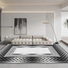 Modern Home Grey Carpets Living Room Decoration Abstract Rugs Light Luxury Sofa Floor Mat Anti-slip Bedroom Cloakroom Lounge Rug 3