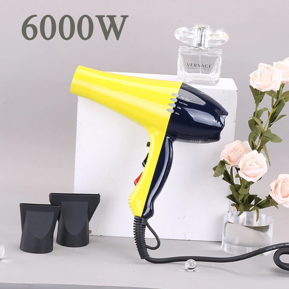 6000W Professional Hair Dryer Anion Blowdryer for Salon High Speed Strong Wind 4 Gear Low Noise Lightweight Blower with 2 Nozzle 5