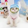 Cute Refined Cat Hat Elastic Autumn Winter Pet Hat Puppy Kittens Knitted Hat Party Photo Shoot Props Decoration Cat Accessories 3