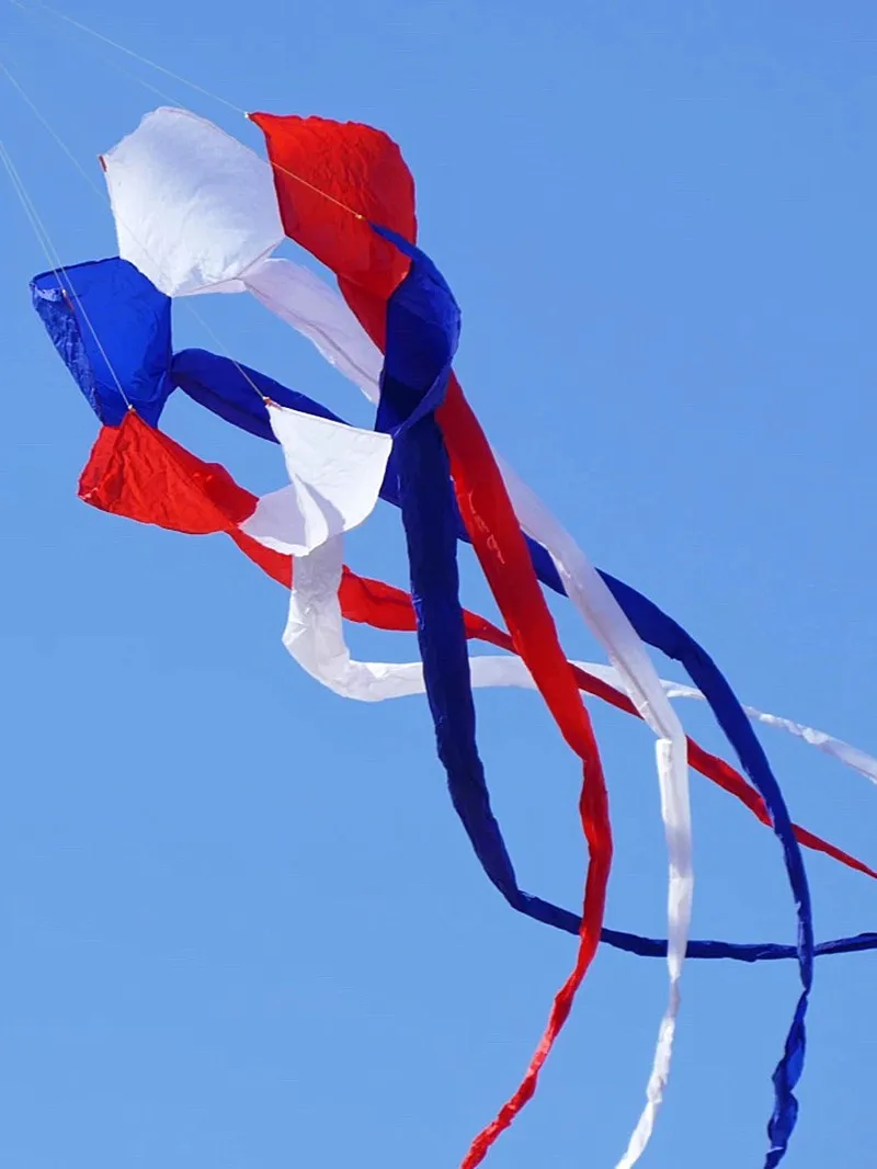 600 cm Regenbogendrachen, Windsack, Drachen fliegen, große Drachen, Erwachsenen-Drachenrolle, Ripstop-Nylon-Drachen, Winddrachen, Fledermausdrachen, Schwänze, Drachenrolle, Spaß – Detail 4