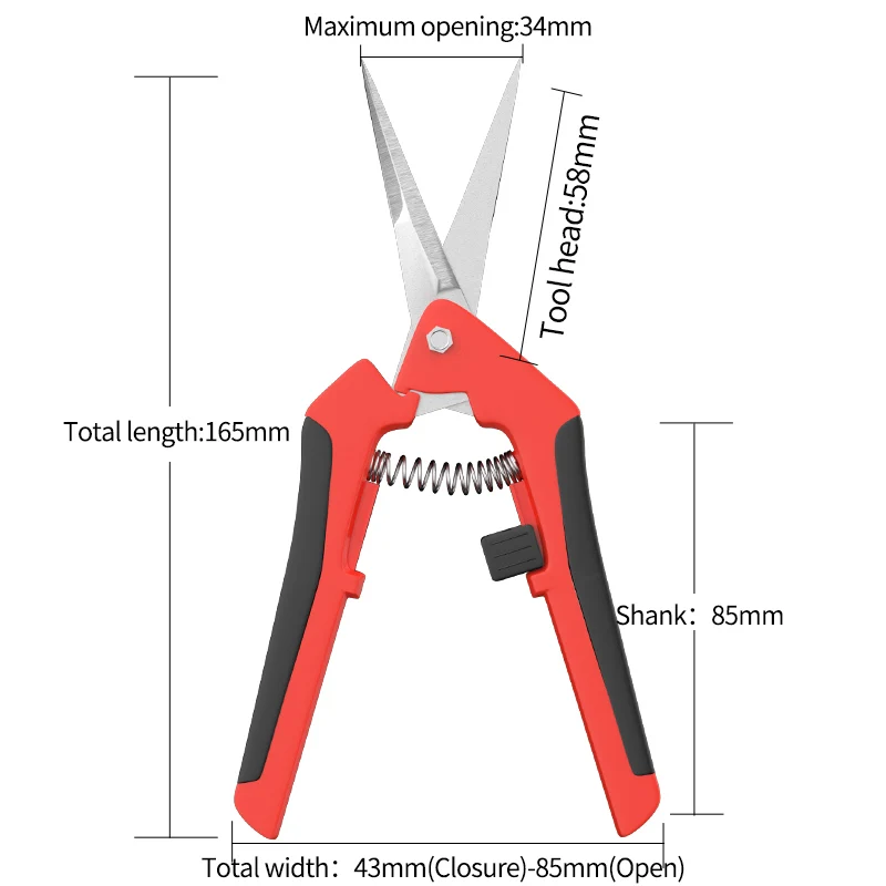 as shown