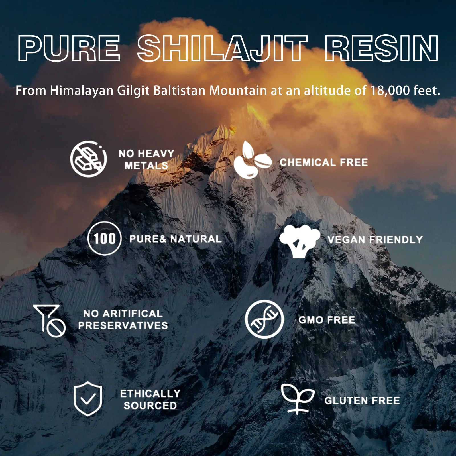 Pure Himalayan Shilajit Resin 100g Natural Lab Fulvic Acid Tested 85+ Trace Minerals