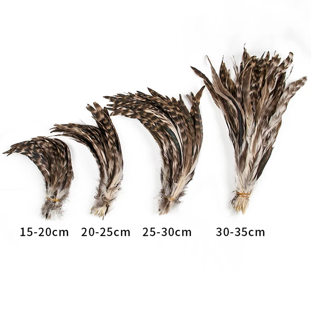 15-35cm/6-14” Natural Pheasant Tail Feathers for Crafts Top Quality Plumes  Home Needlework Jewelry Headdress Accessories 10pcs - AliExpress