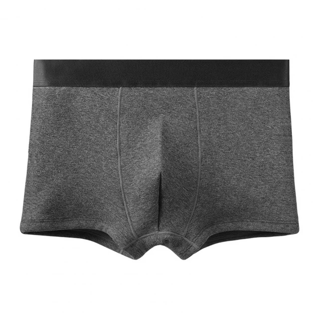 Men Boxers Thickened Plush Waistband Men Boxer Briefs Anti-septic