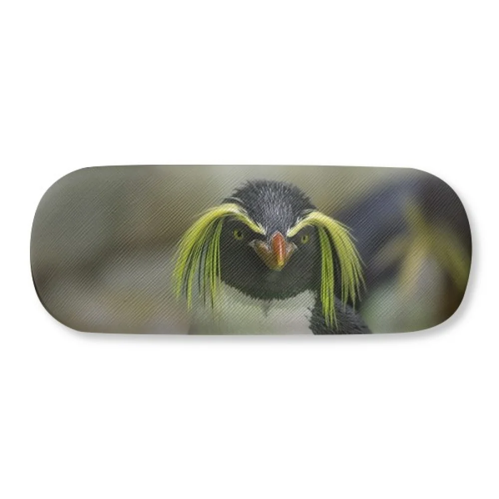 

Sea Science Nature Antarctic Penguin Picture Glasses Case Eyeglasses Hard Shell Storage Spectacle Box