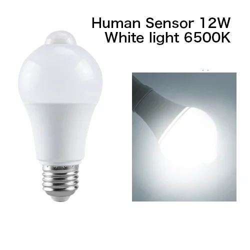 Human Sensor 12W