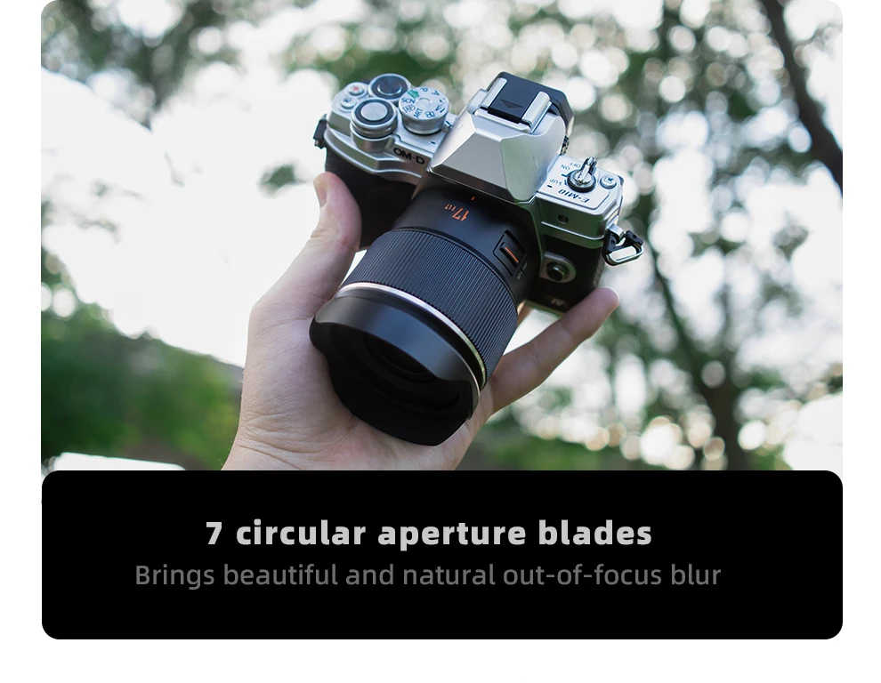 Yongnuo YN17mm F1.7M M 4/3 Mount Wide-Angle Auto Focus Standard Prime Lens Mirro
