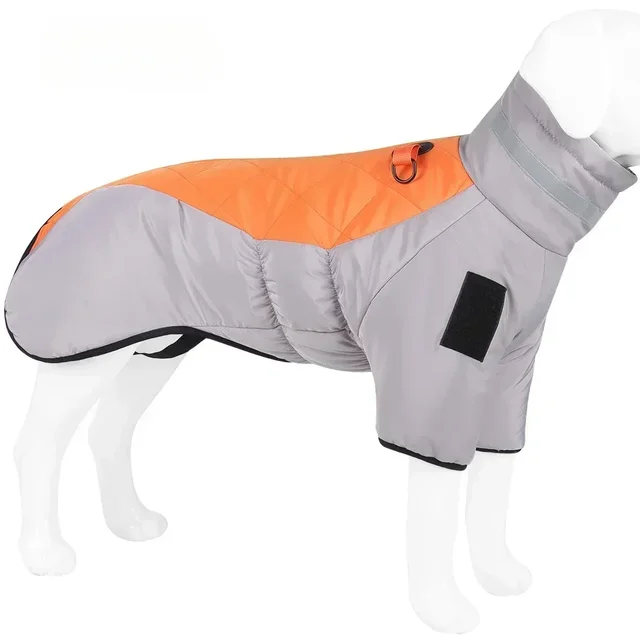 gray-orange