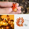 20 Elk LEDs