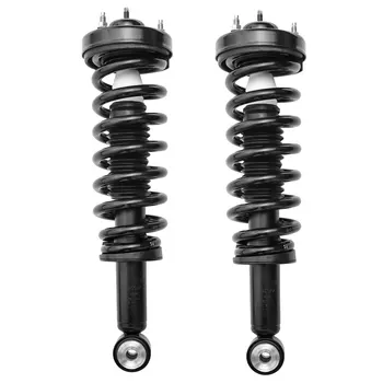 Front Struts w/ Coil Spring for 2004-2008 Ford F-150 2006-2008 Lincoln Mark LT