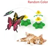Rotating Electric Flying Butterfly Colorful Interactive Cat Dog Automatic Humming Bird Intelligence Training Rotating Funny Toys 3
