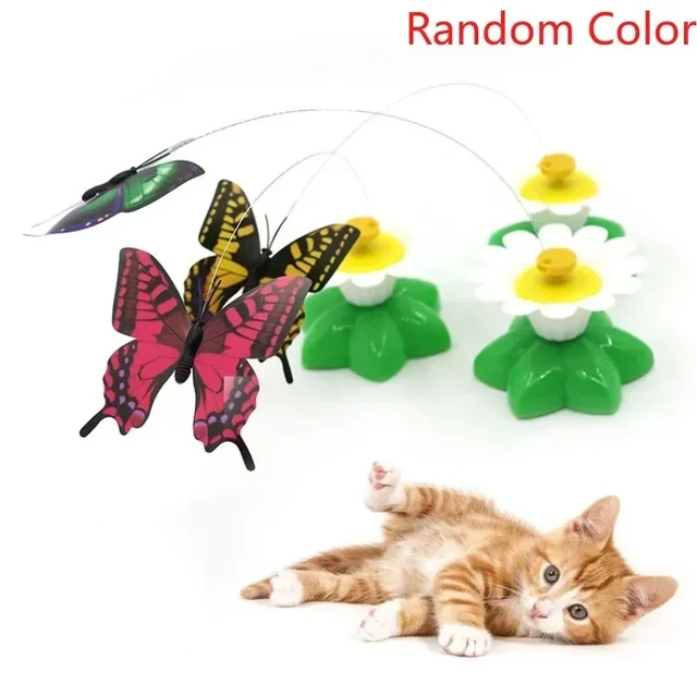 Rotating Electric Flying Butterfly Colorful Interactive Cat Dog Automatic Humming Bird Intelligence Training Rotating Funny Toys 3