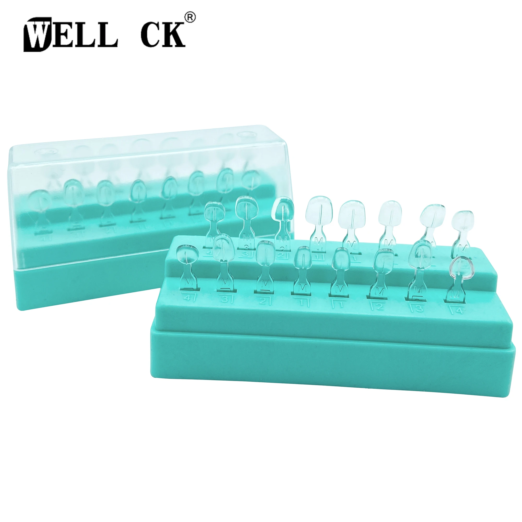 Wellck Dental Impiallacciatura Stampo Kit Resina Composita Stampo Fotopolimerizzazione Autoclave Anteriore Denti Stampo Strumenti Di Sbiancamento Dei 