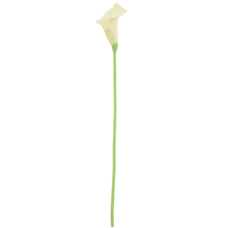 ΰ Į  , ̱  ٱ ɴٹ,  Ȩ , : ũ, 18x