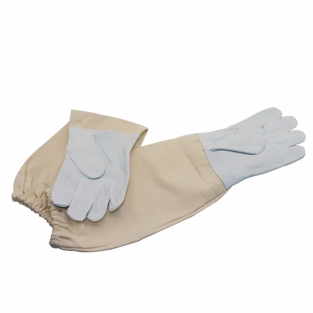 Gloves-200006153