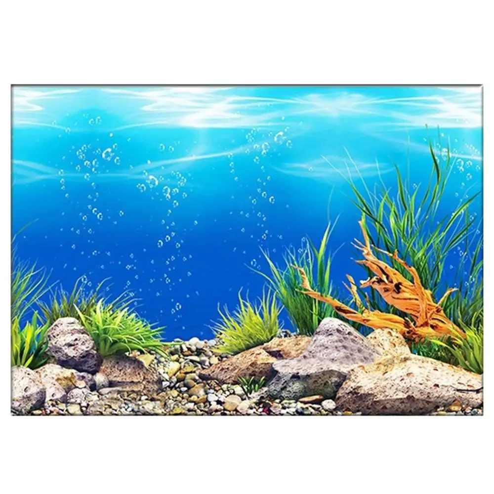 Fish Tank Background Hd