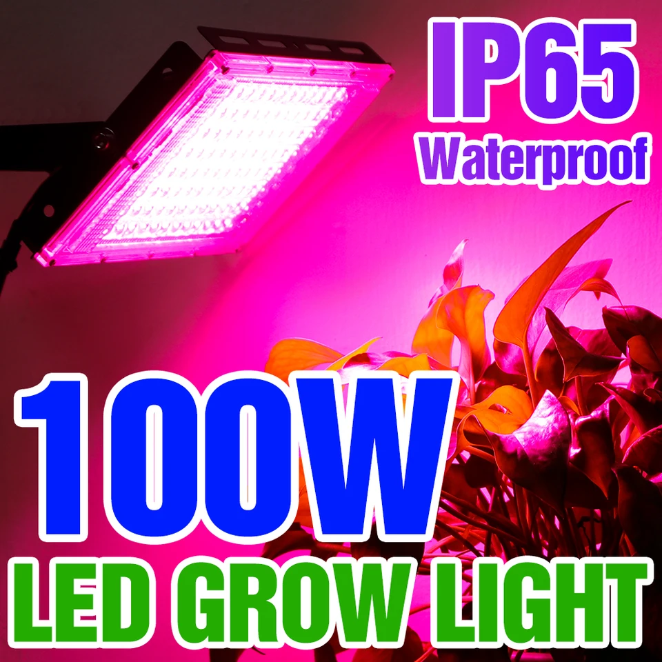 Lampada LED Per Piante Full Spectrum - 220V Per Coltivazione Idroponica E Serra - Foto 10