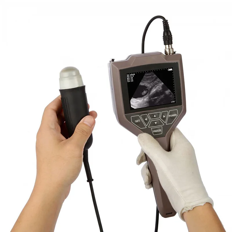 

medical supplies portable veterinary ultrasound machine price,ultrasound for animal