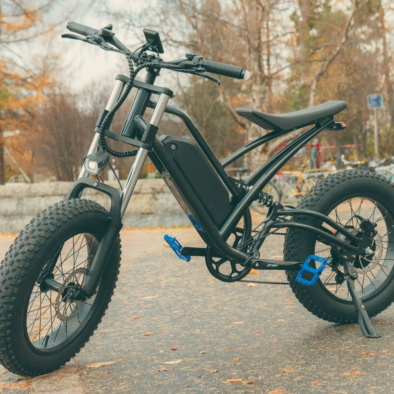 Electric mountain bike bicycle 20 inches 1000w fat tire electric motorcycle 48V