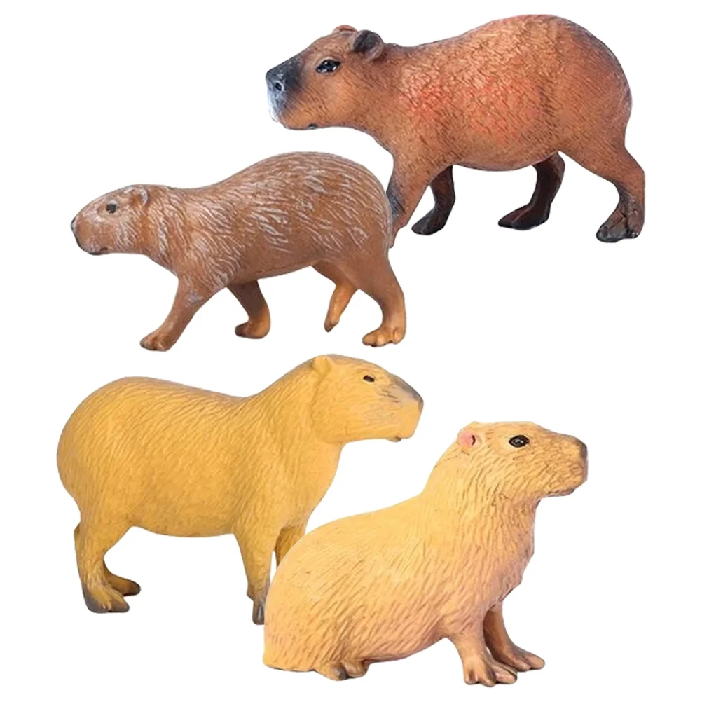 �ùķ��̼� ī�ǹٶ� ���� ��� ī�ǹٶ� ������ ���� ����, �� ��ȣ �峭�� ����, ������ �ǱԾ�, 4 ��