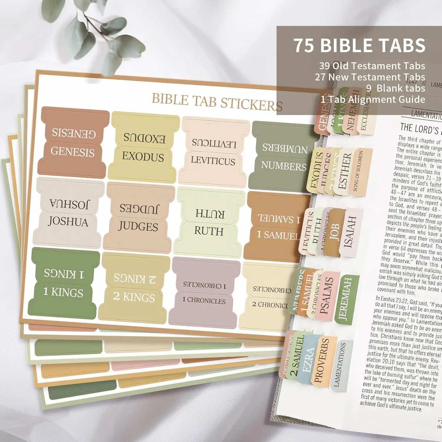 Bible Tabs for Women Men Laminated Bible Tabs for Study Bible Large Print Neutral Bible Tabs for Easy Navigation Boho Theme 2