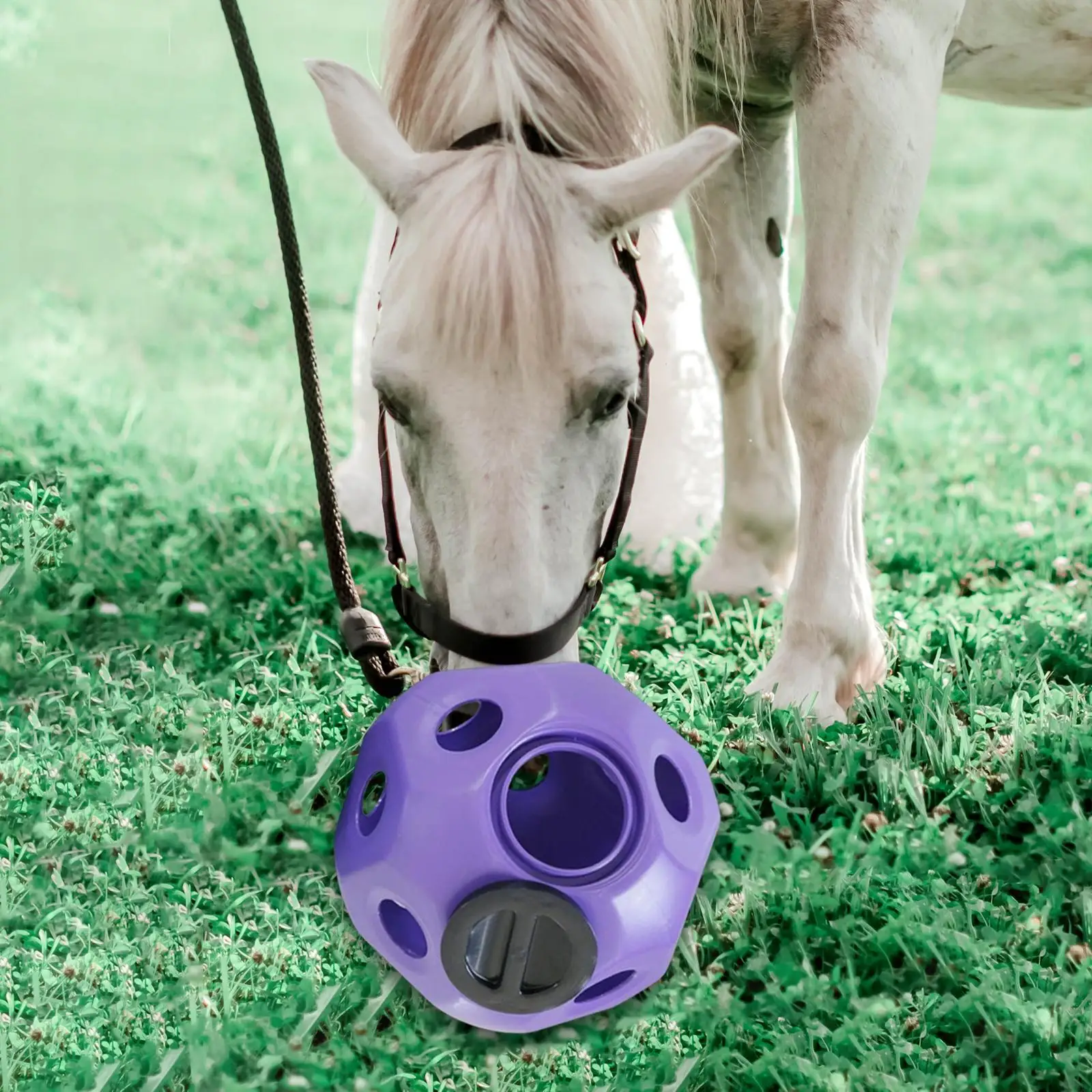 Fun 15 7  Horse Treat Ball Horse Toys Feed Ball Feeding Toy Multipurpose 2