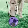 Fun 15 7  Horse Treat Ball Horse Toys Feed Ball Feeding Toy Multipurpose 2