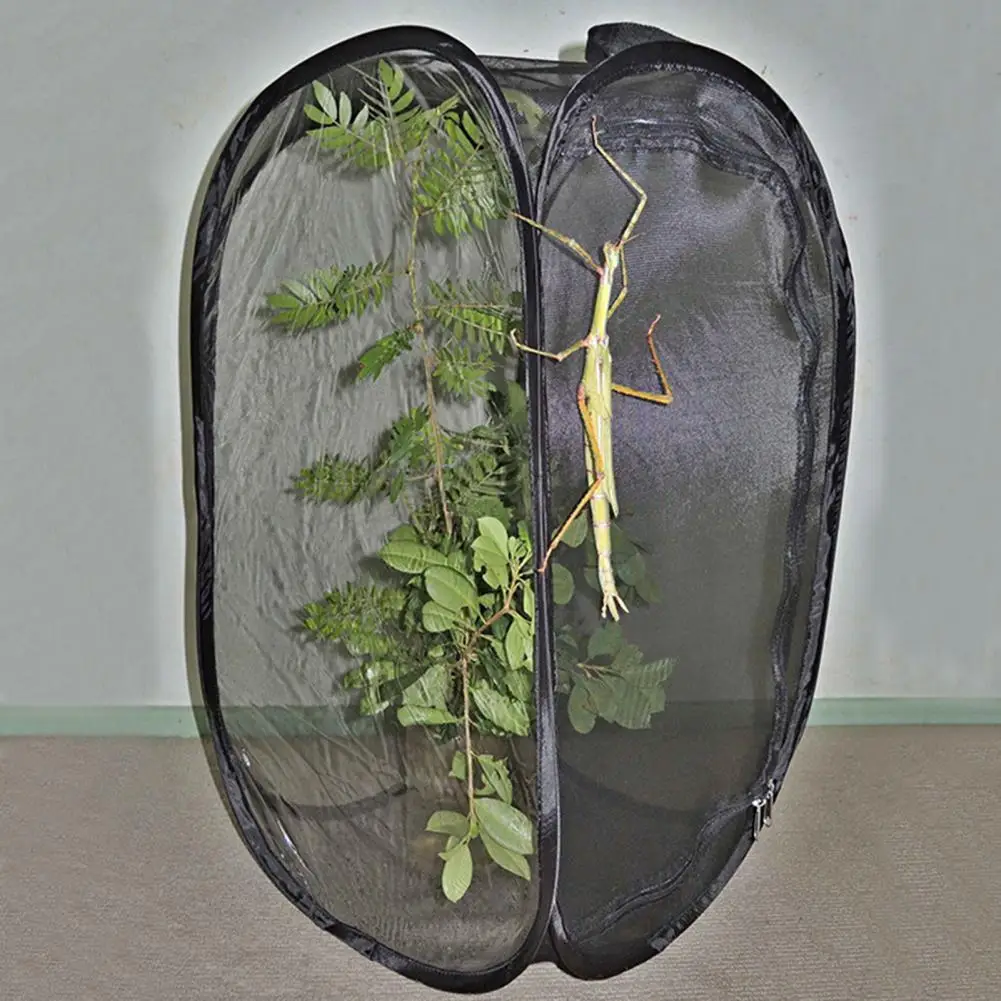 Insect Cage Mesh Habitat Bird Butterfly Net Terrarium Nature Knowledge Insect Habitat Net Mesh Cage Garden Growing Tents