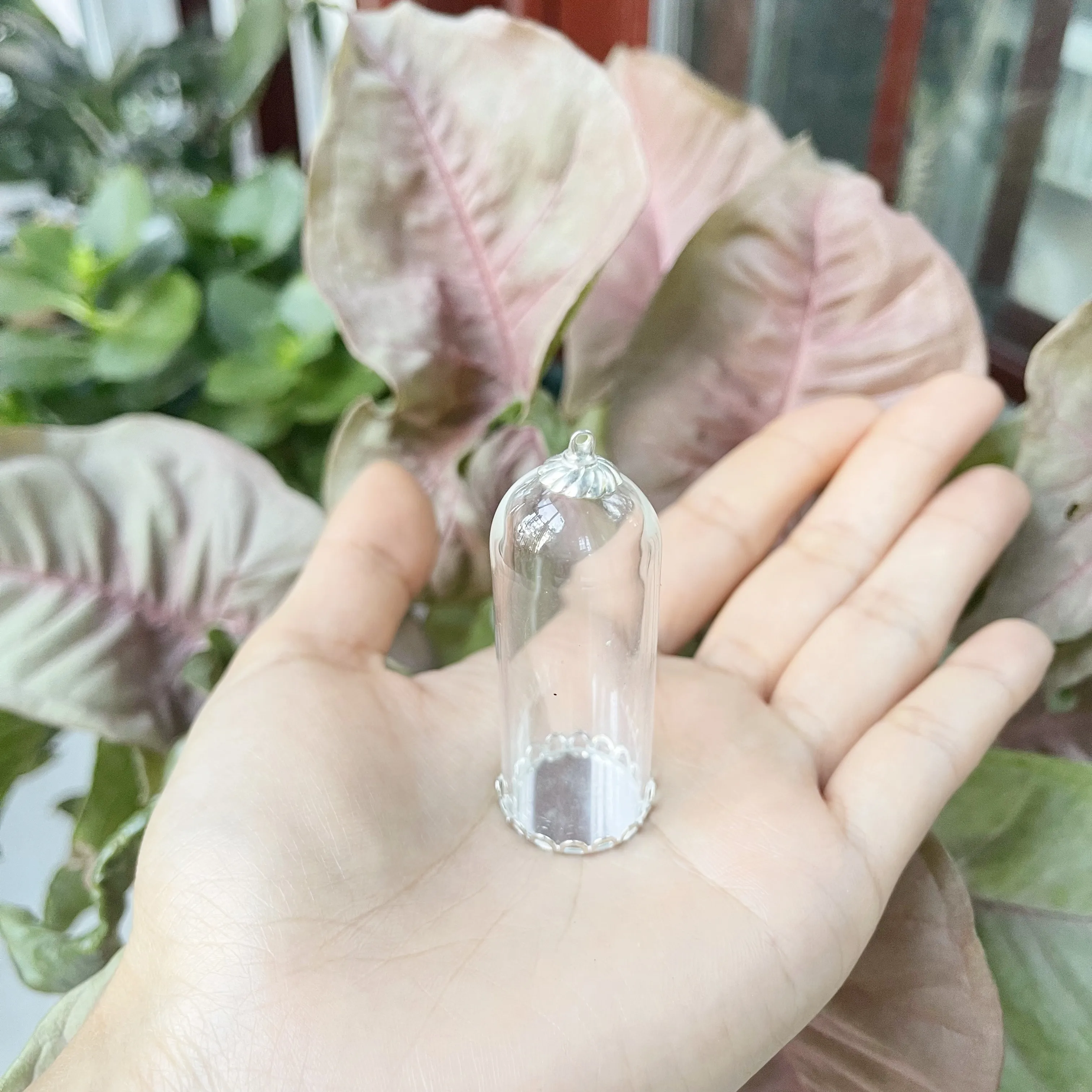 5/8/10X 50x20mm Clear Tube Bell Jar Glass Cover Dome Glass Vial Pendant Lace Base Home Room Table Display Decor Flower Ornaments 6