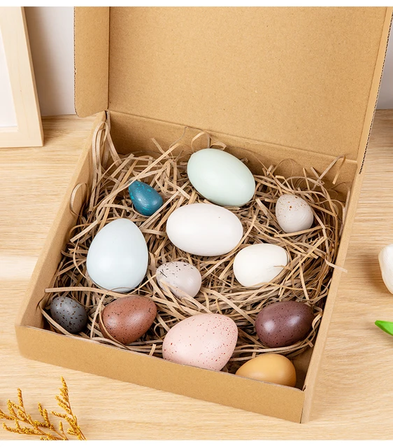 Moon Picnic A Dozen Bird Eggs in a Box - Play Planet