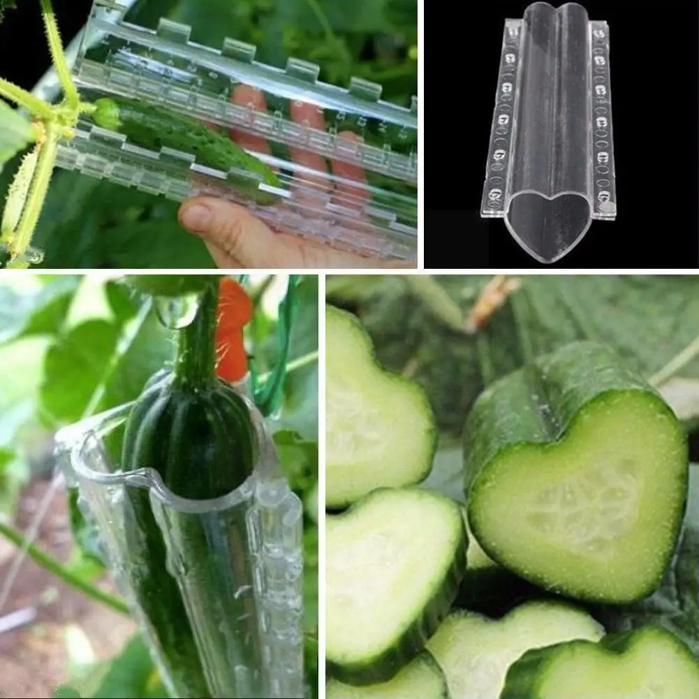 1pc Cucumber Styling Growth Mold Plastic Heart Shaped Molds Transparent
