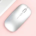 Glossy-Silver