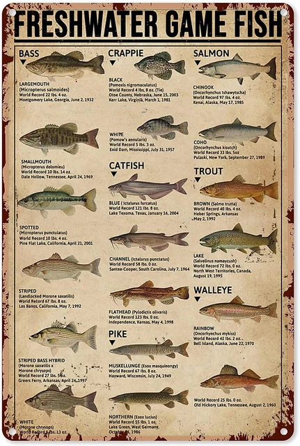 Retro Tin Signs Vintage Style Fishing Art Prints Type of Fish