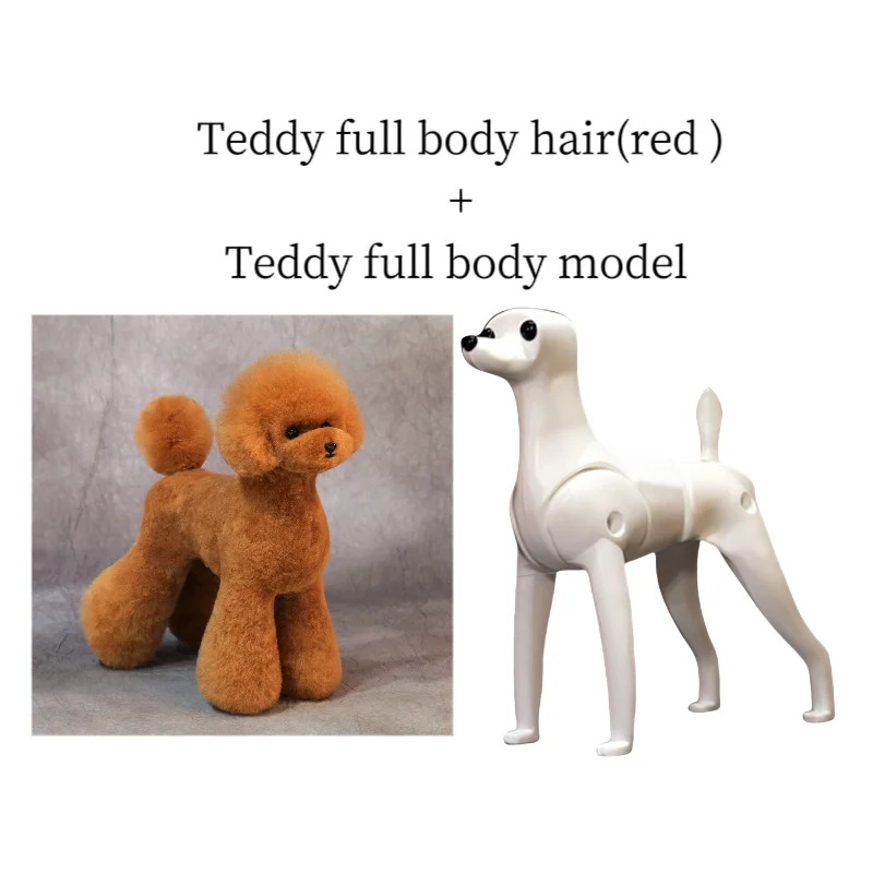pet grooming model dog for grooming practice dog standard skeleton model pet simulator