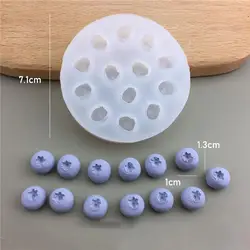 3D Fruit Simulation Silicone Mould for Cake Decorating and Baking (M-Blueberry)