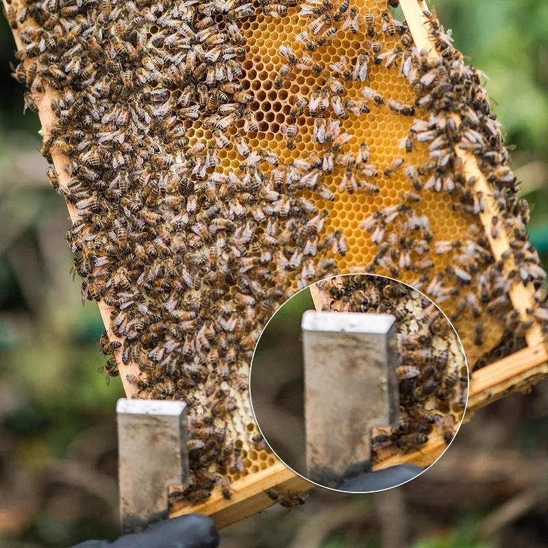 Beekeeping Equipment Hive Tool Frame Lifter and Scraper 1Pcs