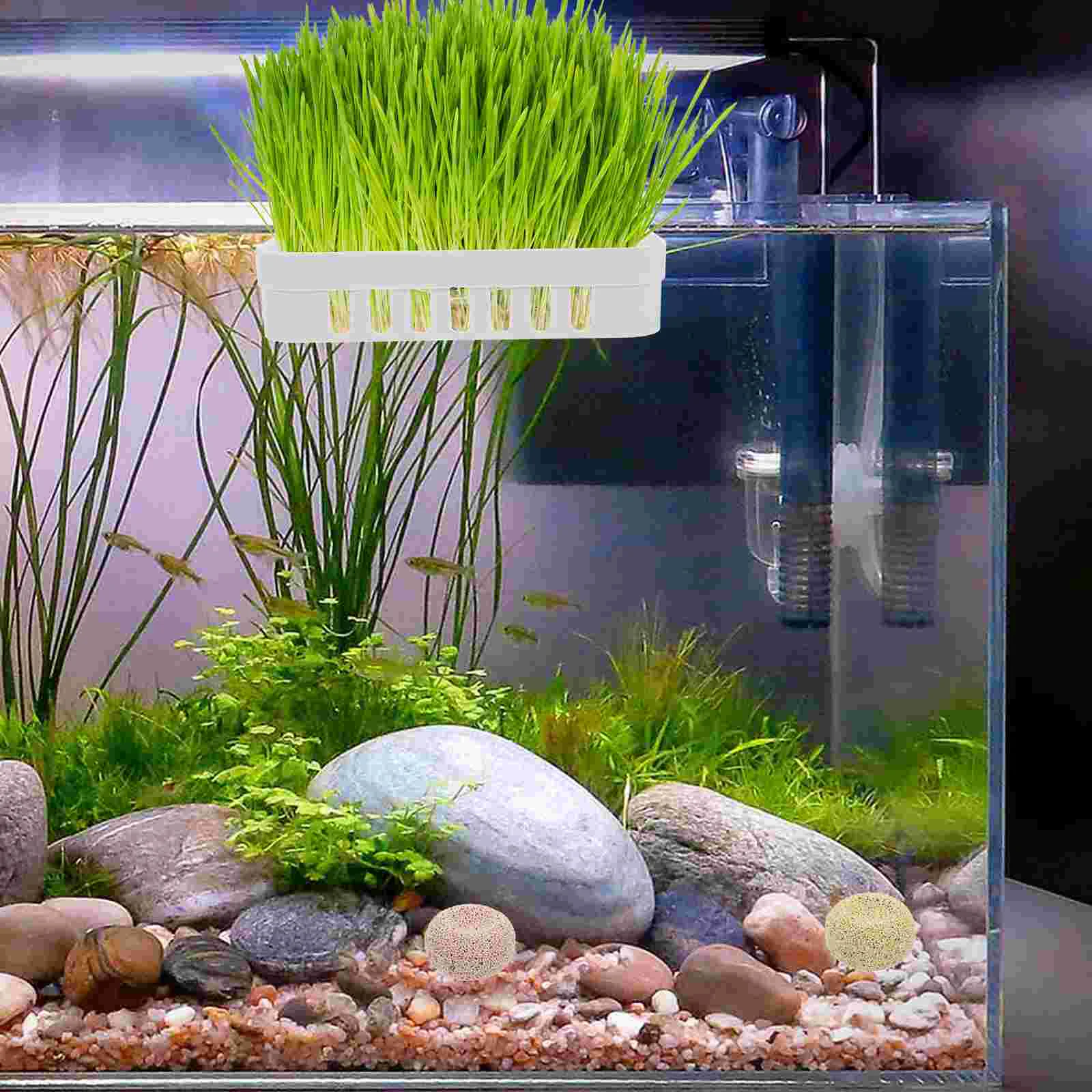 2 Pcs Hanging Aquarium Plant Holder Hydroponic Basket Aquatic Planter Pot Decorations Pet Products Supplies Storage Hooks