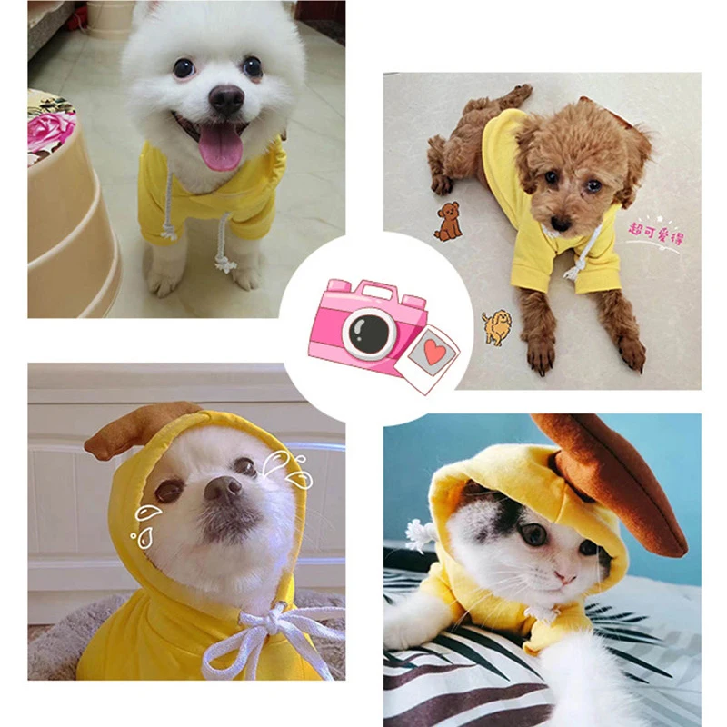 Cute Hoodie Pet Dog Pajamas Clothes Soft Warm Fleece Dogs Jumpsuits Clothing  for Small Dogs Puppy Cats Costume Coat dog costume - AliExpress