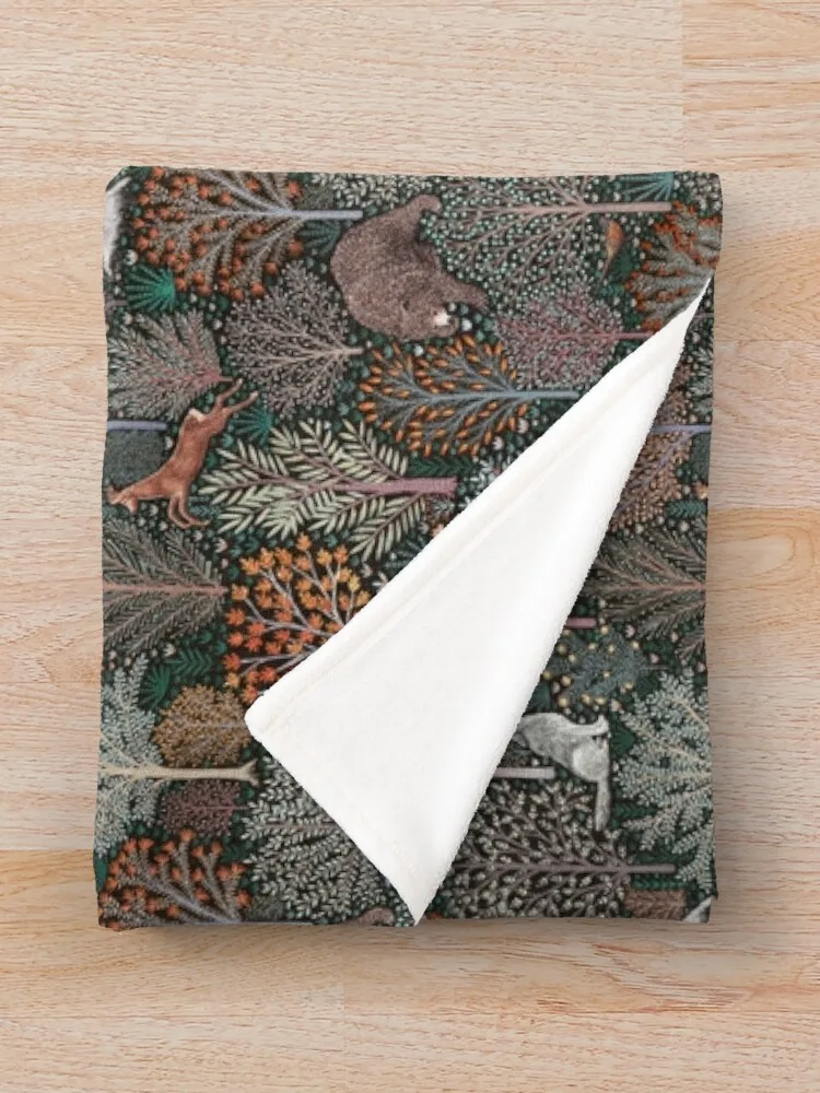 �� ���� ������ ���, ��Ʈ��, �ε巯�� ���� ���� ���� ��� ���� ���