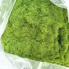 Simulation Moss/Grass Powder 3MM/5MM  Nylon Static Planting Flocking Powder Sand Table Landscape Materials 30g/Bag 1
