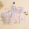 FOCUSNORM 0-5Y Toddler Baby Girls Romper/Dress Flower Butterfly Embroidery Fly Sleeve Mesh Tulle Dress/Jumpsuits
