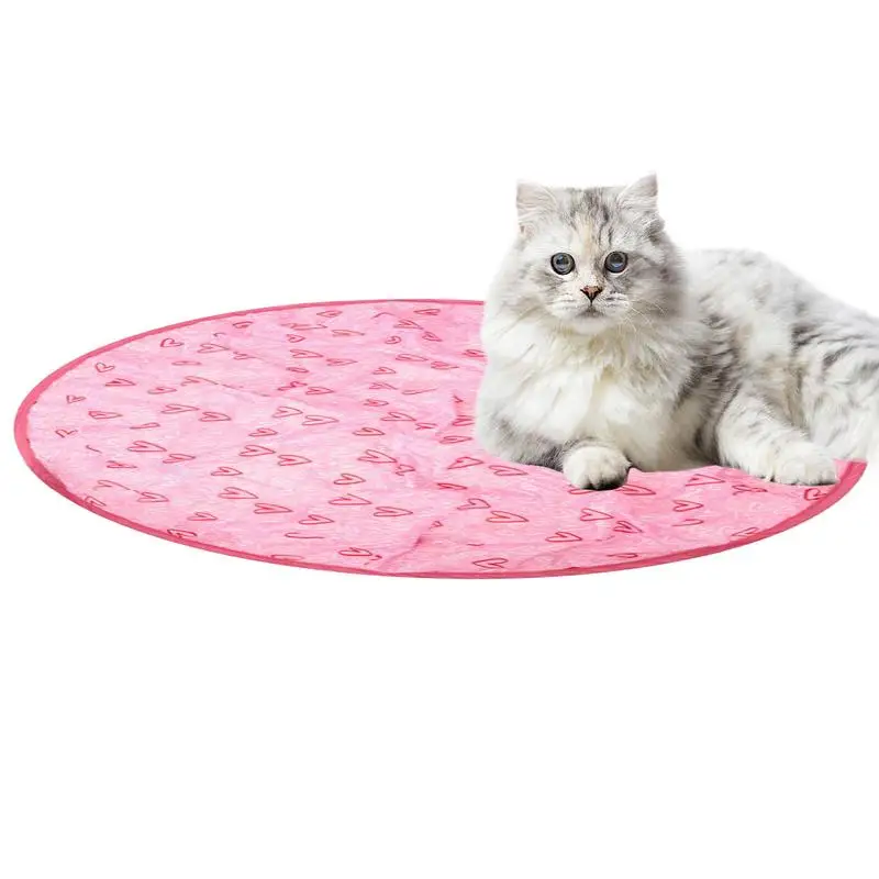 2 In 1 Simulato Interattivo Caccia Gatto Giocattolo Gertar Caccia Interattiva Gatto Giocattolo Gatto Giocattolo Palla Sotto Un Tappetino Chitarra Gatt