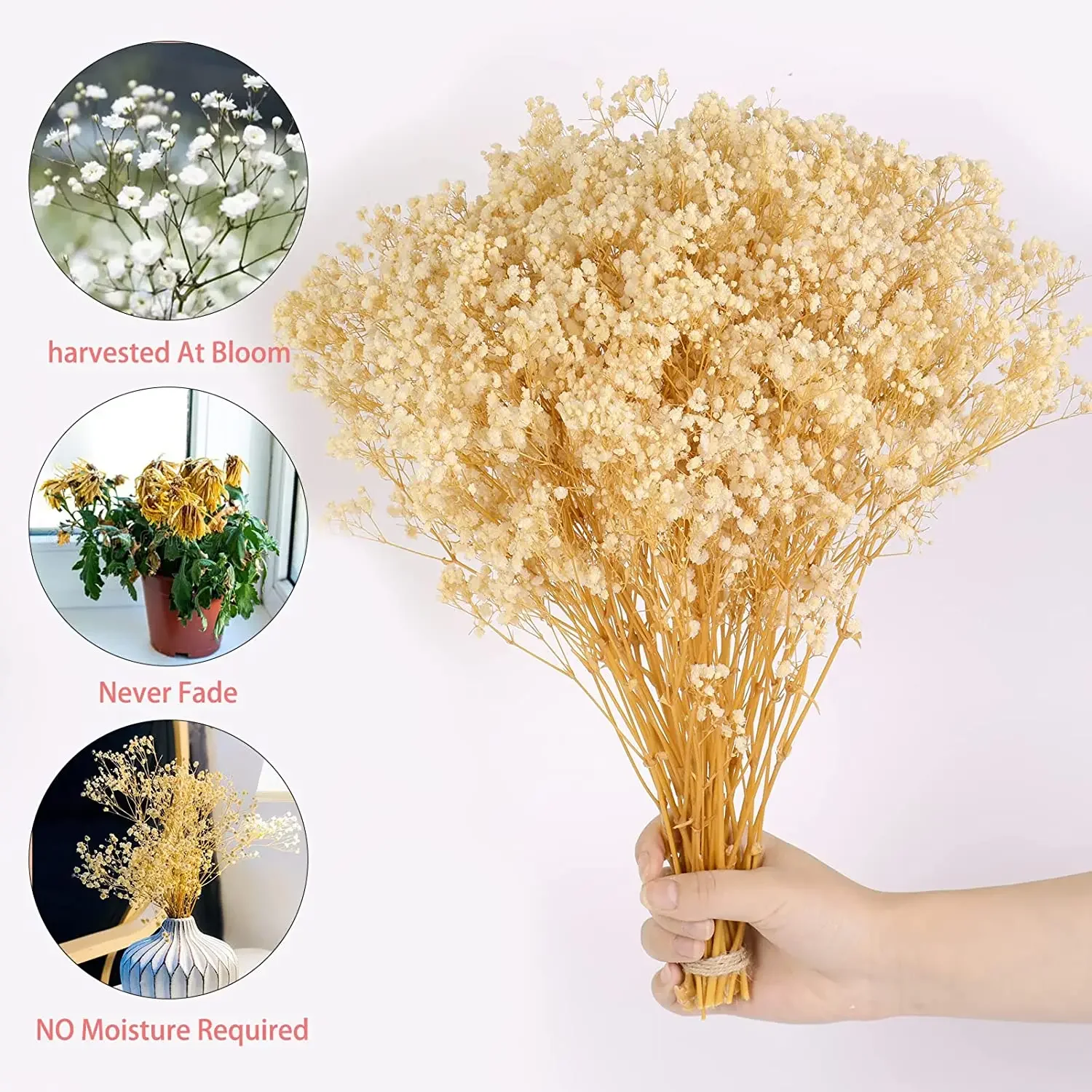 Colorful Preserved Baby's Breath Bouquet - Boho Home and Wedding Decor