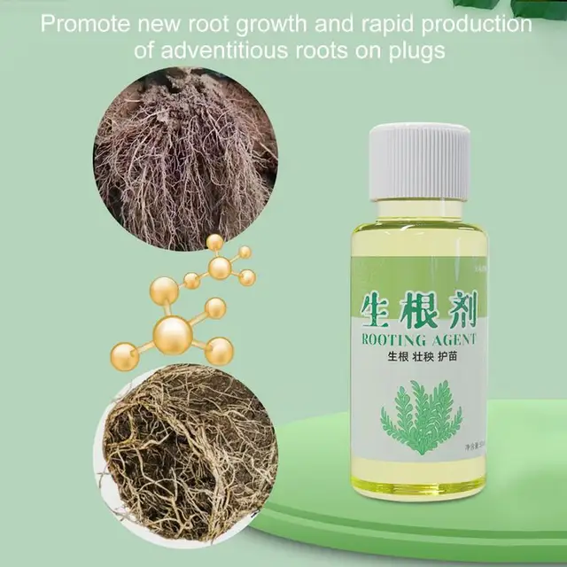 Gyökérnövekedési Hormonok Gyökerező Dugványokhoz Folyékony Nagyteljesítményű Szerves Növények 50 Ml Transzplantációk Zöldség - Image 2