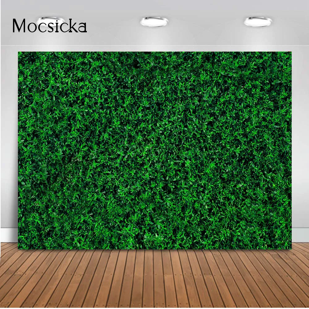 Mocsicka ܵ     ȥ ź       Ŀ Ʃ