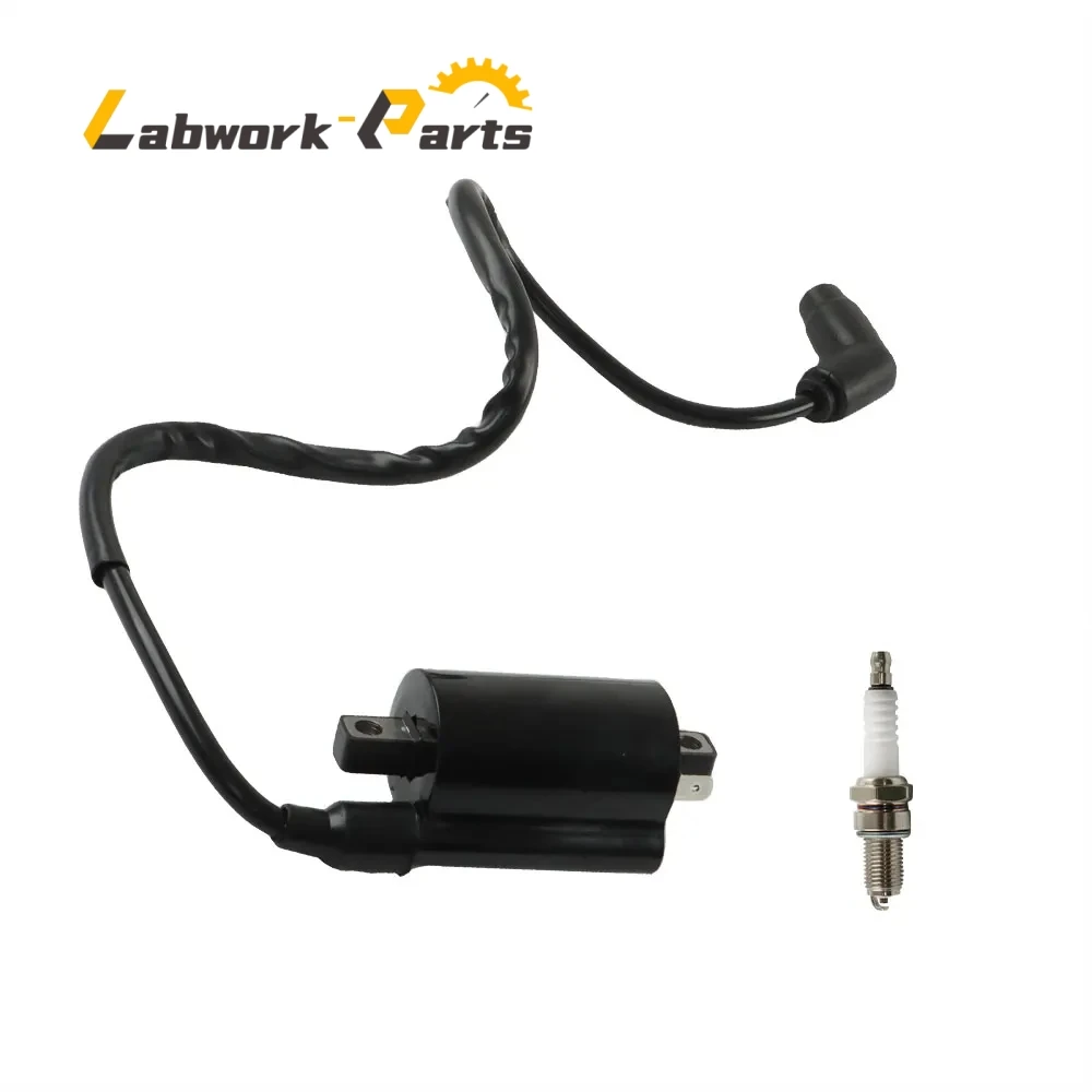 Bobina Di Accensione Moto1988 E Candela Per Yamaha Raptor 700 Raptor 700R Yfm 700 700R 2006-2018 Muslimatexb