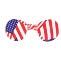US Flag