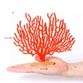 Coral -1