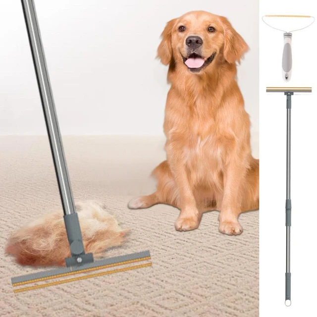 Pet Hair Remover Carpet Rake Long Handle Cat Hair Broom Carpet Scraper  Stainless Steel Dog Fur Removal Tool Cleaning Supplies - AliExpress