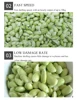 Electric Pea Sheller Machine Edamame Peeling Machine Green Pea Skin Removing Machine Pea Peeler 3